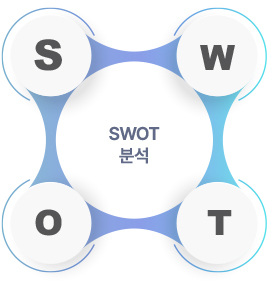 SWOT 분석